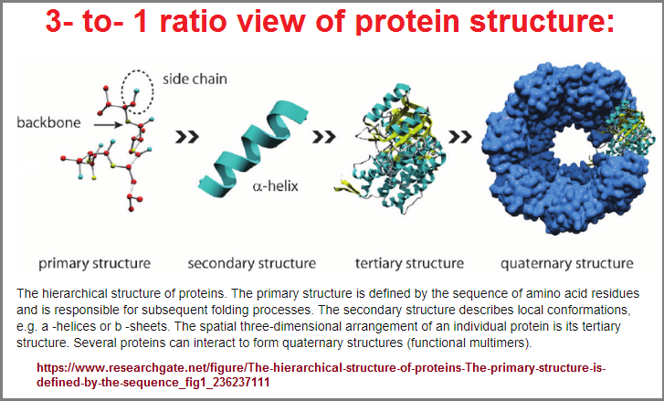 3 to 1 protein structure view