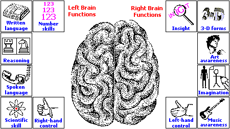 right and left hemisphere brain functions