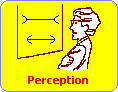 Perception aptitude