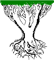 3 limb domain tree