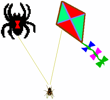spider, kite and fly