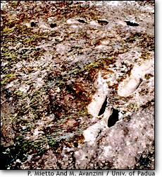 Footprints at Roccamonfina
