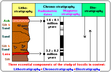 Fossil study tools