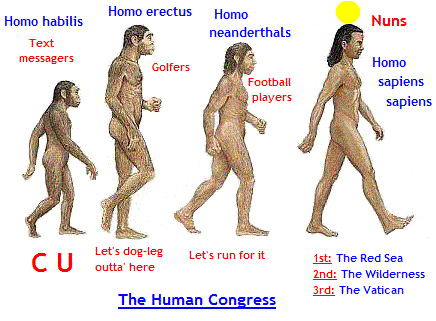 hominids3b (29K)