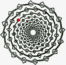 Spiraling phenomena