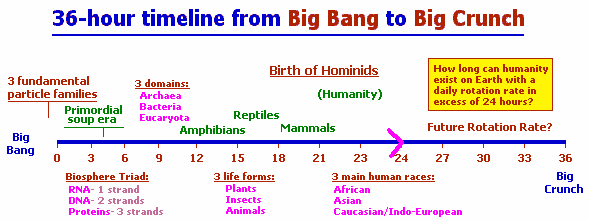 Timeline view of biological development
