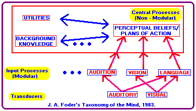 J. A. Foder's Taxonomy of the mind