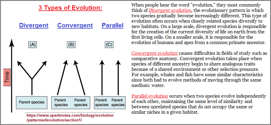 3 Major types of Evolution