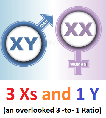 3 Xs and 1 Y Chromosome differentiations