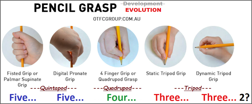 Development of pencil grasp as a portrait of evolution