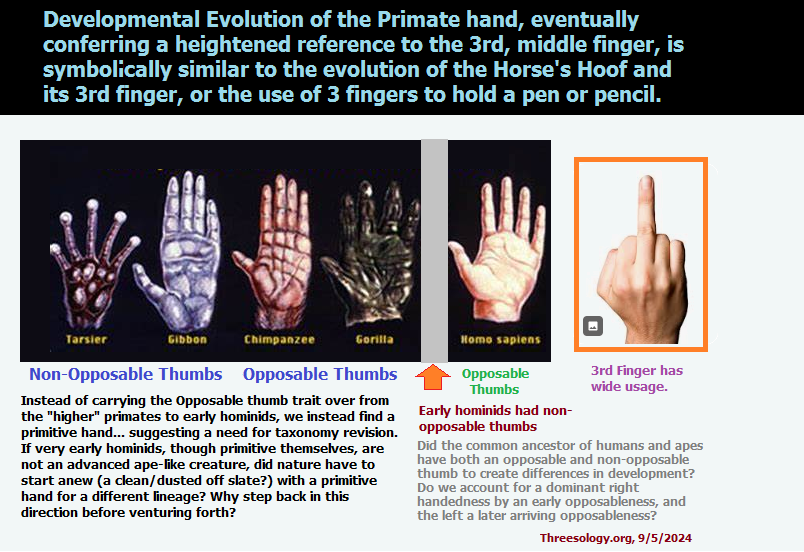 Developmental usage of the Primate hand  