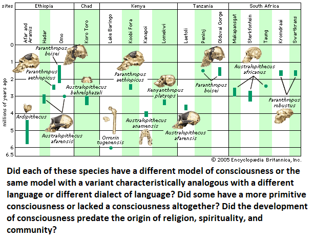 Different models of consciousness from different brains?