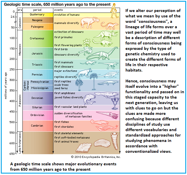 Supposing a geologic time scale represents consciousness development.