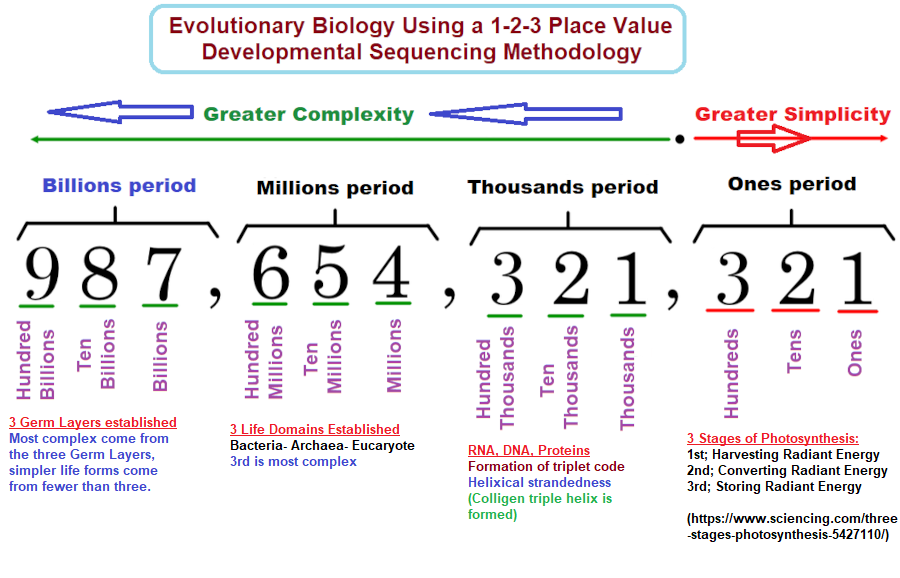 Evolutionary biology exhiits a basic system of numerical notation