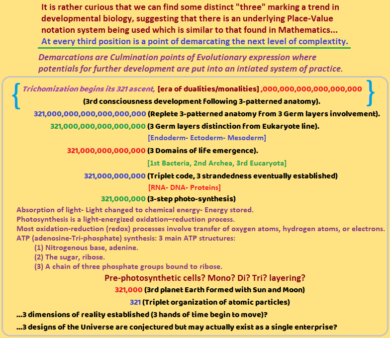 Place-value notations of Biological development