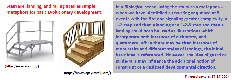 Staircase image to reference developmental Evolution