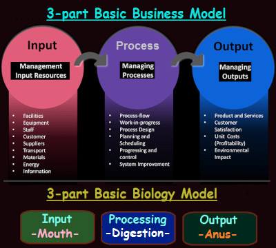 Two business models compared