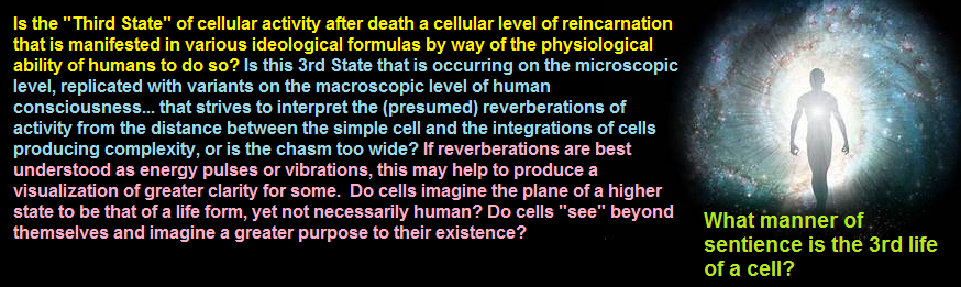 The 3rd state of life idea related to cellular activity