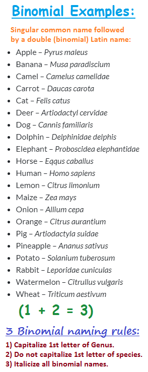 Binomial examples of common items