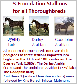 3 Founding Stallions for all Thoroughbreds