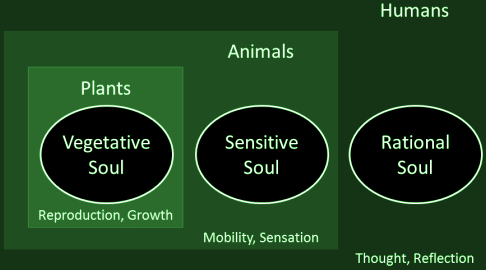 Three souls characterized by Aristotle