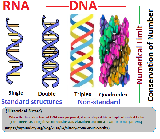 The Limit or Genetic strandedness