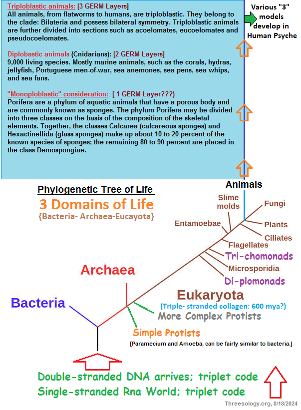 Makeshift Phylogenetic tree