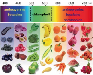 3 general divisions of the color spectrum