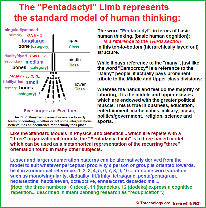 A sociological perspective of the Pentadactyl limb