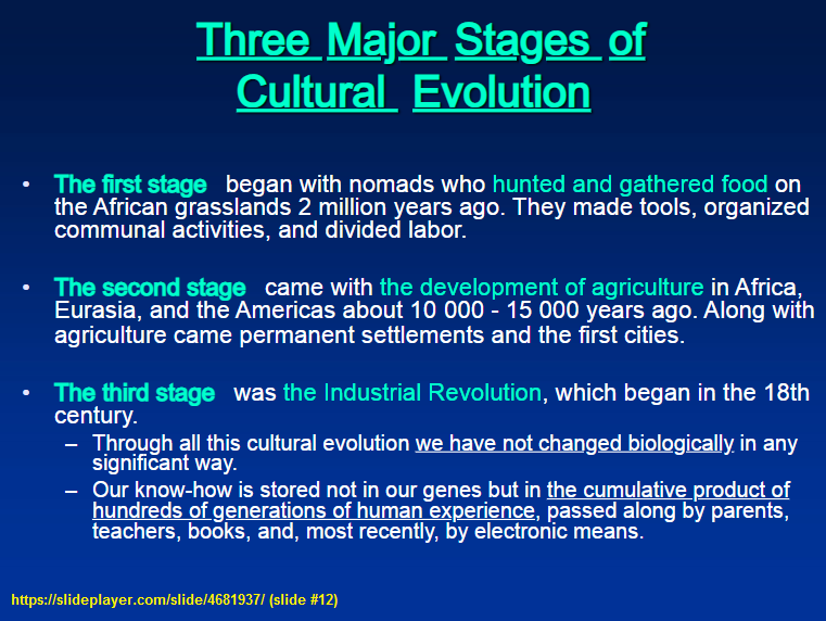 3 stages of Cultural Evolution