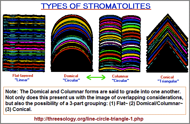 Linear, circular, triangular stromatolites