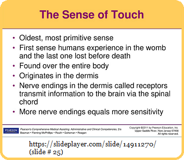 The primitive sense of Touch